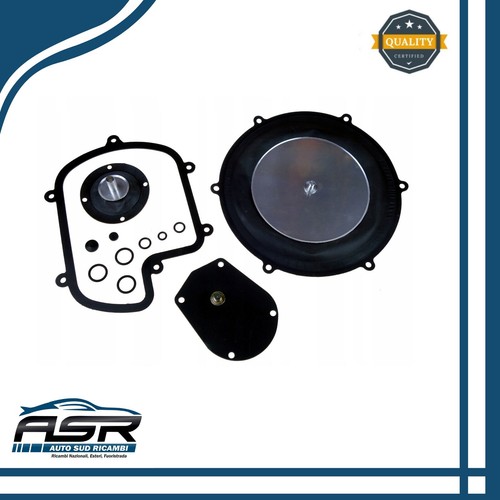 Kit revisione polmone gpl - revisione,
